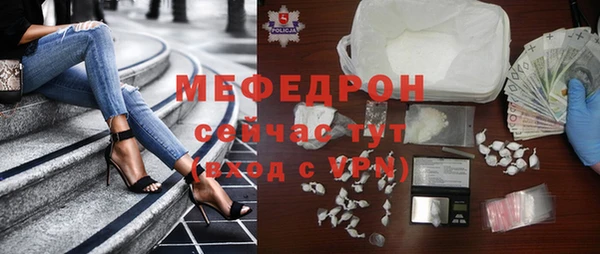 твердый Протвино