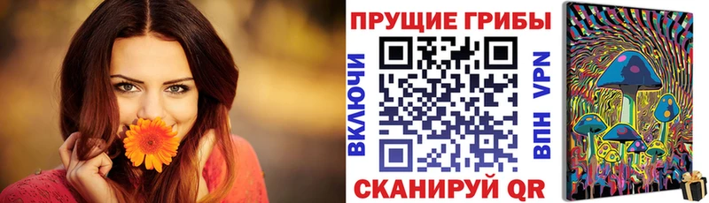 купить наркотики сайты  Инсар  Галлюциногенные грибы Cubensis 